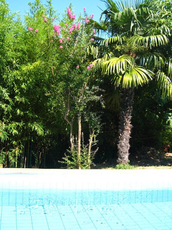 Apartment Apollonio Portorož Quarto foto